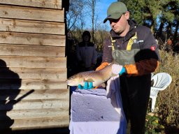 whatsapp image 2025-10-19 at 14.55.57